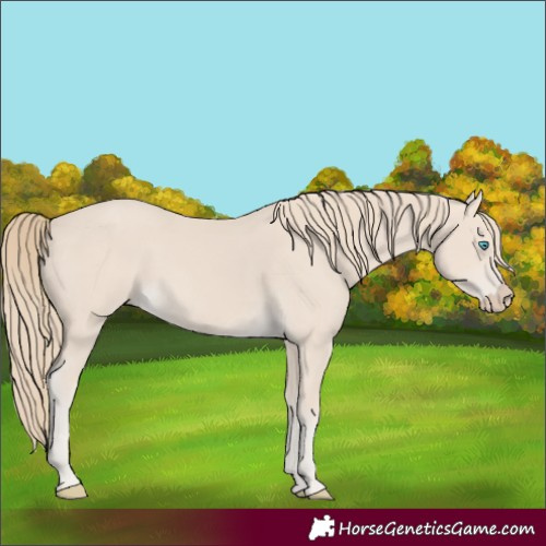 Horse Color:Smoky Creme