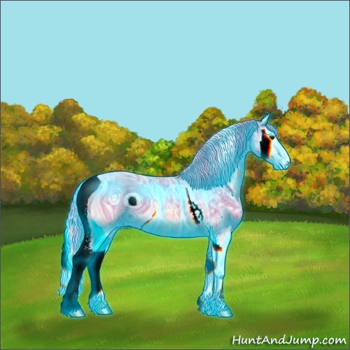 Horse Color:ERROR: UNKNOWN ANOMALY