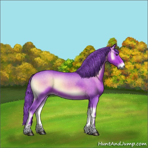 Horse Color:Watercolor Red Onyx 