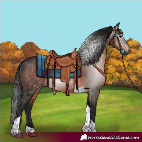 Horse Color:Gray Bay Tobiano 