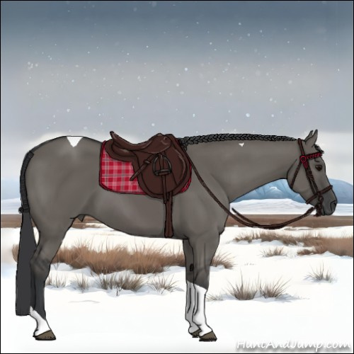 Horse Color:Grullo Tobiano 