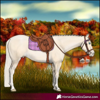 Horse Color:Palomino Pearl