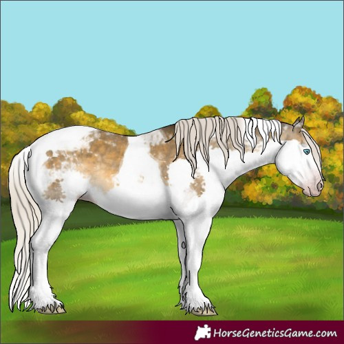 Horse Color:Gray Silver Sable Cream Champagne Mushroom Splash Tobiano Varnish Rabicano 