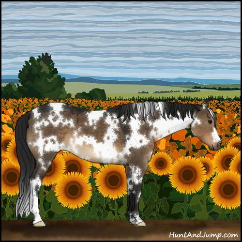 Horse Color:Gray White Spotted Brown Dun 