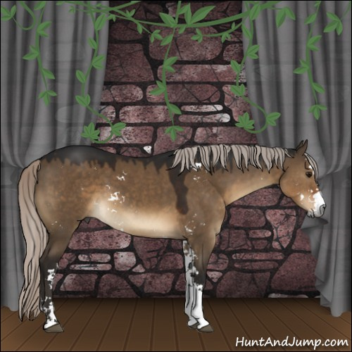Horse Color:Gray Silver Brown Dun Sabino 