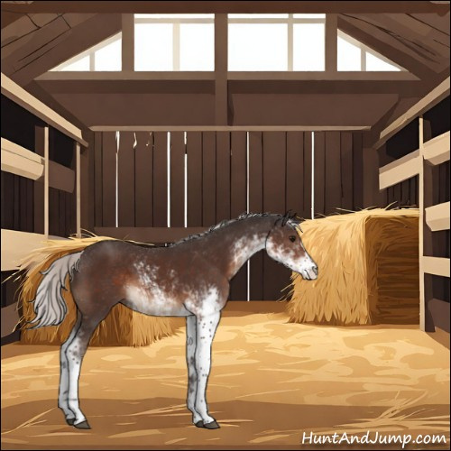 Horse Color:Silver Brown Sabino 