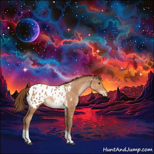 Horse Color:Brown Pearl Tobiano Appaloosa Rabicano 