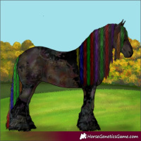 Horse Color:Void Painted Midnight Bay Ice Tobiano