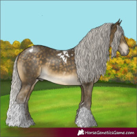 Horse Color:Silver Buckskin Tobiano 