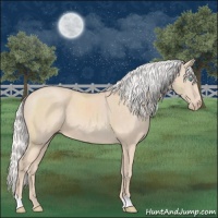Horse Color:Silver Perlino 