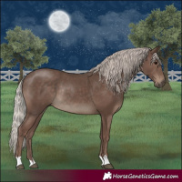 Horse Color:Silver Black Rabicano 