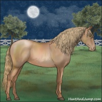 Horse Color:Liver Chestnut Pearl Sabino 