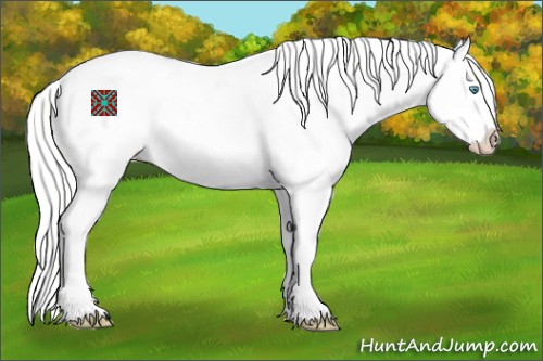 Horse Color:White Spotted Silver Perlino Dun Splash Appaloosa 