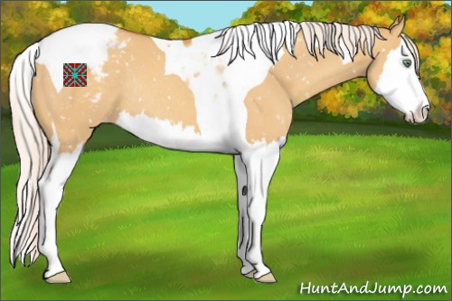 Horse Color:Silver Sable Cream Champagne Dun Sabino Splash Tobiano Appaloosa Rabicano 