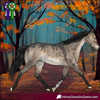 Horse Color:Gray Brown Roan Dun Mushroom Sabino Brindle