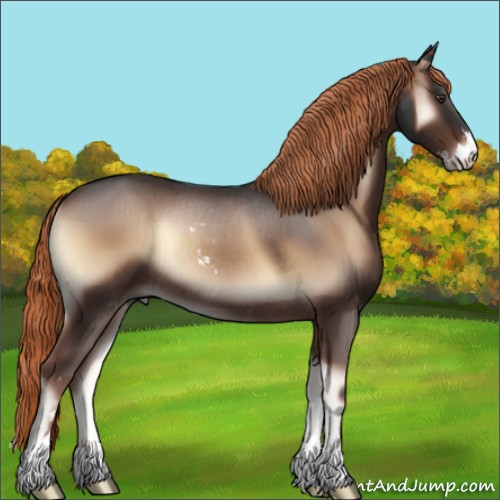 Horse Color:Liver Red Onyx Sabino Rabicano 