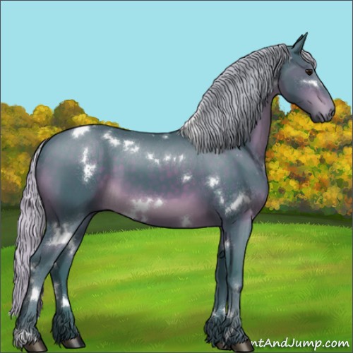 Horse Color:Watercolor White Spotted Silver Brown 