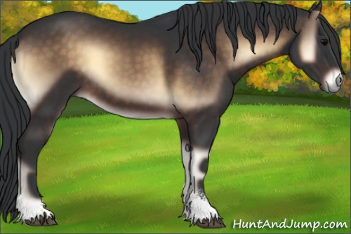 Horse Color:Brown Onyx Sabino 