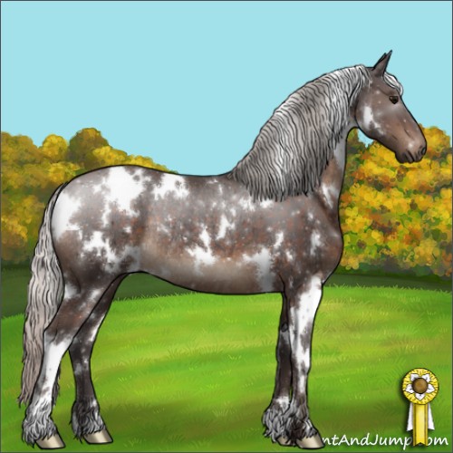 Horse Color:White Spotted Silver Brown Rabicano 