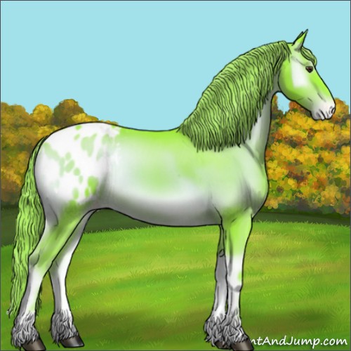 Horse Color:Watercolor Liver Red Onyx Sabino Varnish Rabicano 