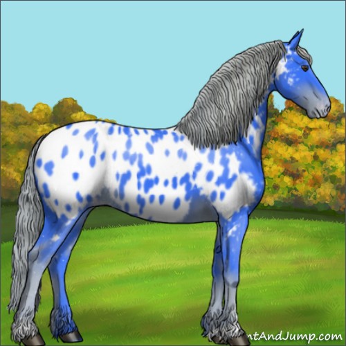 Horse Color:Watercolor Liver Chestnut Sabino Appaloosa 