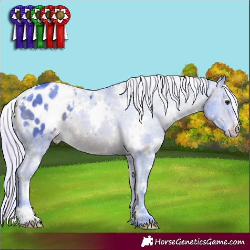 Horse Color:Watercolor White Spotted Silver Brown Appaloosa 