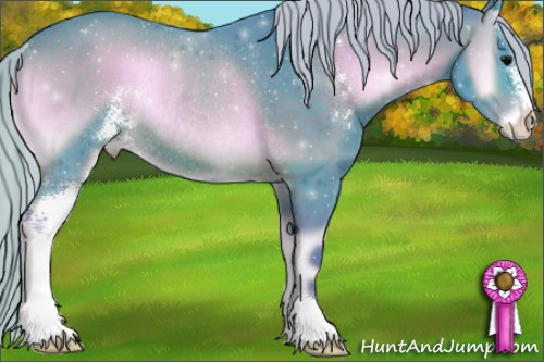 Horse Color:Watercolor Silver Brown Onyx Sabino Rabicano 
