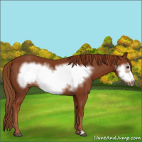 Horse Color:Chestnut Frame