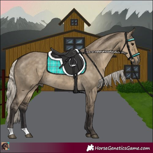 Horse Color:Silver Smoky Grullo 
