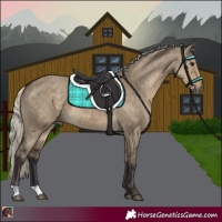 Horse Color:Silver Smoky Grullo 