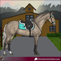 Horse Color:Silver Smoky Grullo 