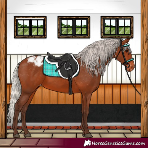 Horse Color:Silver Brown Snowcap