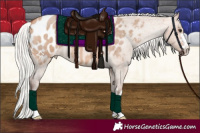 Horse Color:Silver Bay Roan Dun Blanket 