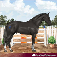 Horse Color:Liver Chestnut Mushroom Tobiano 