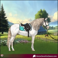 Horse Color:Buckskin Pearl Dun Near Leopard