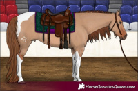 Horse Color:Red Dun Tobiano Rabicano