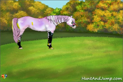 Horse Color:Watercolor Red Dun Onyx Sabino 