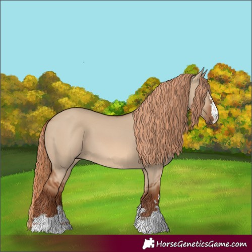Horse Color:Red Dun