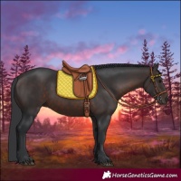 Horse Color:Brown 