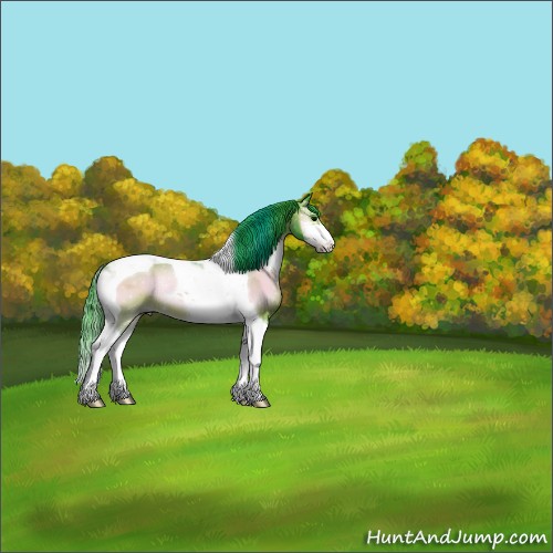 Horse Color:Watercolor Bay Onyx Sabino Tobiano 
