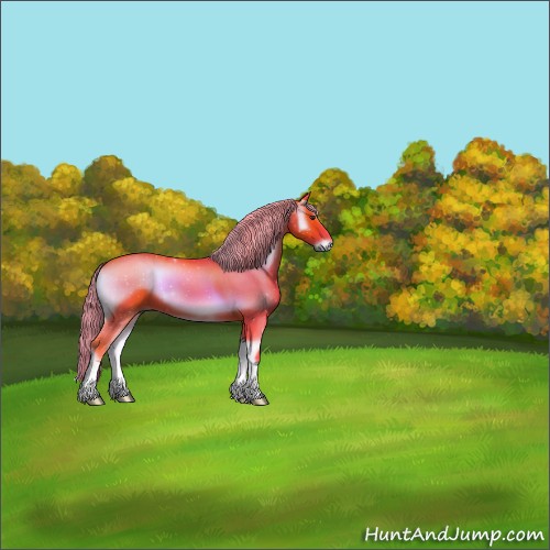 Horse Color:Watercolor Red Onyx 