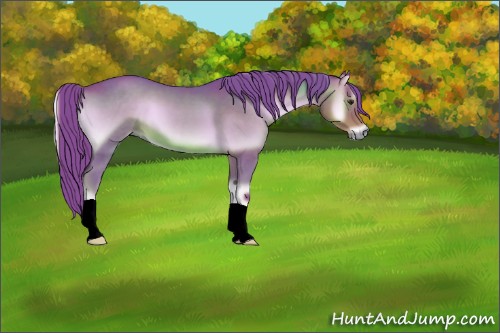 Horse Color:Watercolor Red Onyx 