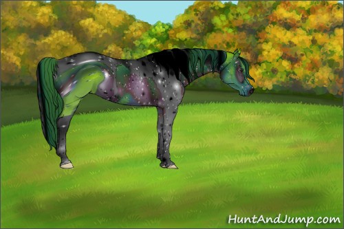 Horse Color:ERROR: UNKNOWN ANOMALY