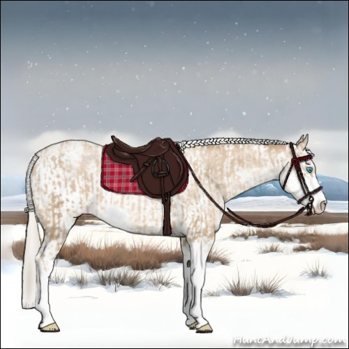 Horse Color:Chocolate Palomino Pearl Sabino Appaloosa Rabicano and Chocolate Palomino Pearl Sabino Appaloosa Rabicano