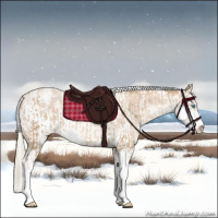 Horse Color:Chocolate Palomino Pearl Sabino Appaloosa Rabicano  and Chocolate Palomino Pearl Sabino Appaloosa Rabicano 