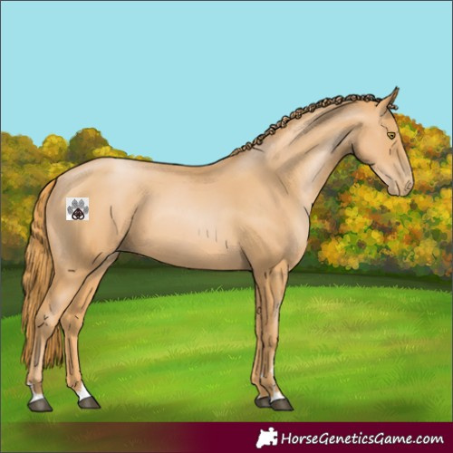 Horse Color:Chestnut Pearl 