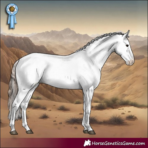 Horse Color:White Spotted Grullo Fewspot Rabicano and White Spotted Classic Champagne Dun Fewspot Rabicano