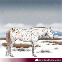 Horse Color:Chestnut Snowflake Varnish 