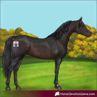 Horse Color:Brown 