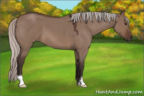 Horse Color:Silver Brown Roan Dun 